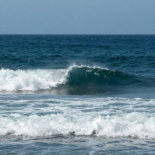 Photograph of a deep blue ocean with white, foamy waves crashing; a single, larger wave stands out in the center.