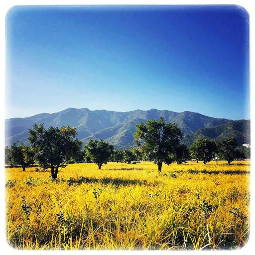 Vibrant Digital Landscape with Vintage Border