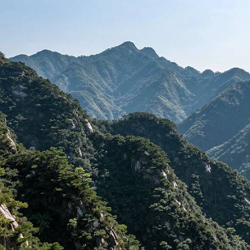 Photograph of a mountain range with lush, green, tree-covered peaks under a clear, bright blue sky; shadows and sunlight highlight the rugged terrain.