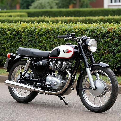 Classic 1954 BSA 250cc C11 Motorcycle