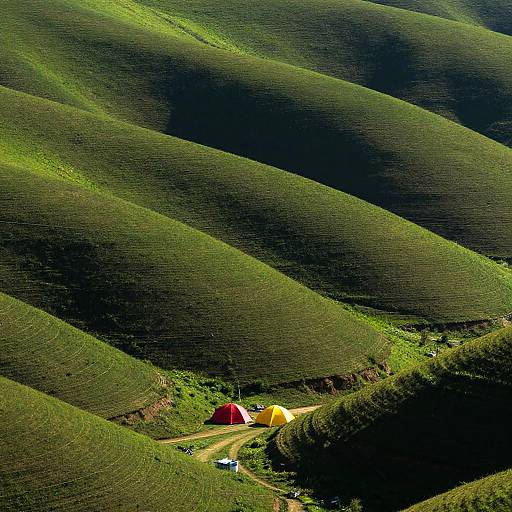 Tents on Rolling Green Hillside