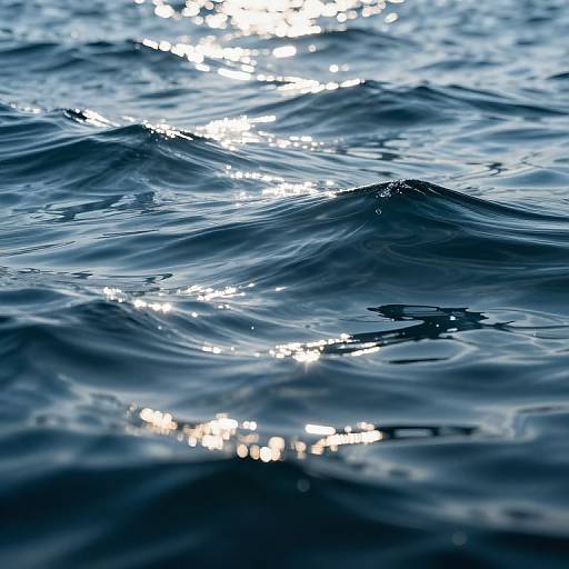 Ocean of Liquid Glass Reflections