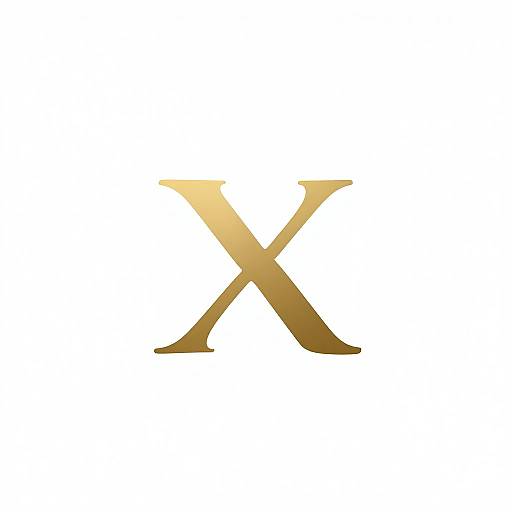 Minimalistic Elegant X Shoes Logo