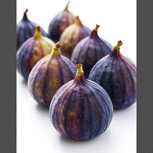 Purple Figs in Soft Focus Row