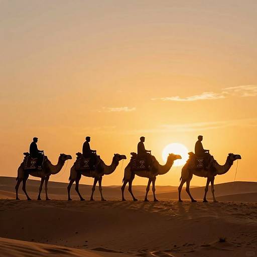 Silhouetted photograph of four riders on camels at sunset in a desert, with a golden-orange sky and dune landscape.