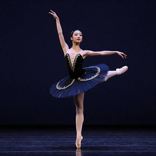 Dynamic Ballet Dancer in Dramatic Pose