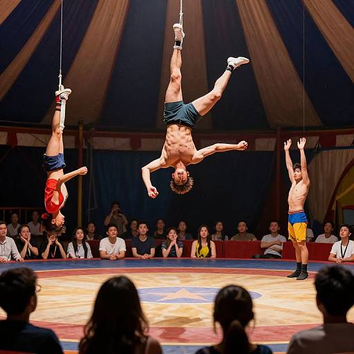 Audience as the Unseen Circus Spectacle