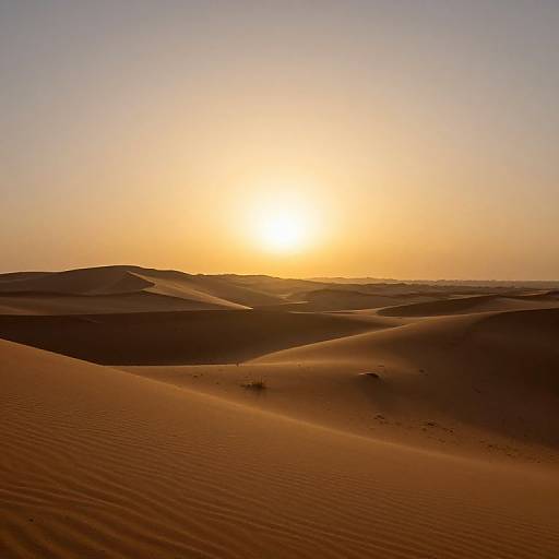 Photograph of a serene desert sunset, with golden sunlight casting warm hues over rolling sand dunes, creating gentle shadows and ripples.