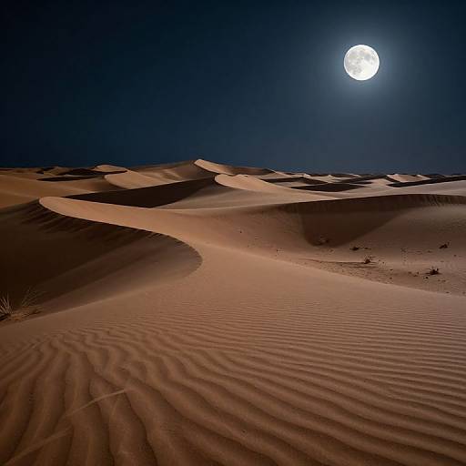 Photograph of a moonlit desert with rippled sand dunes, illuminated by a bright full moon in a dark blue night sky.