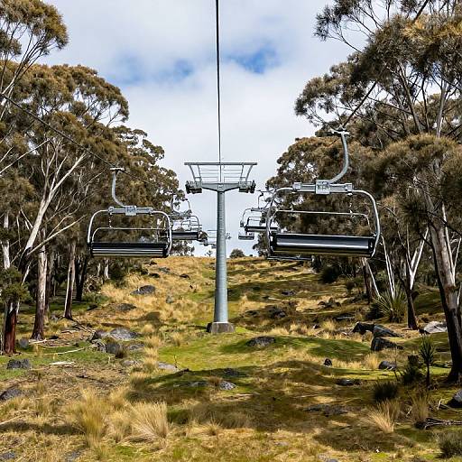 Falls Creek Eagle Chairlift Scenic View