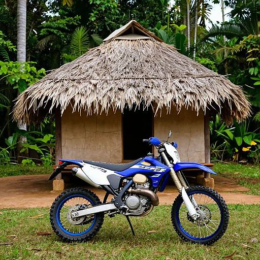 Vibrant Blue Dirt Bike Jungle Adventure