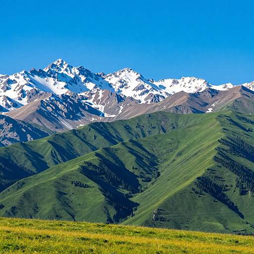 Photograph of a vibrant mountain landscape with snow-capped peaks, green rolling hills, and a yellow grassy foreground under a clear blue sky.