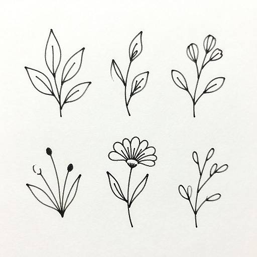 Minimalist black line drawing of six different plant sketches, each with unique leaf and flower shapes, against a white background.
