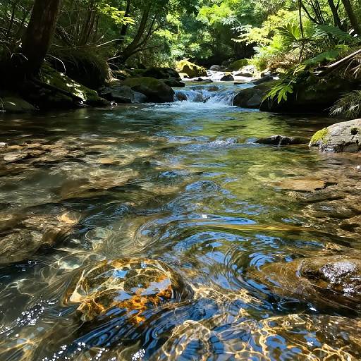 Crystal Clear Forest Stream Photorealism