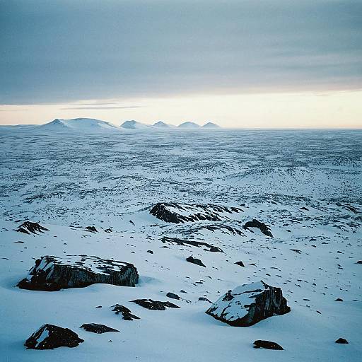 Majestic Arctic Tundra Landscape