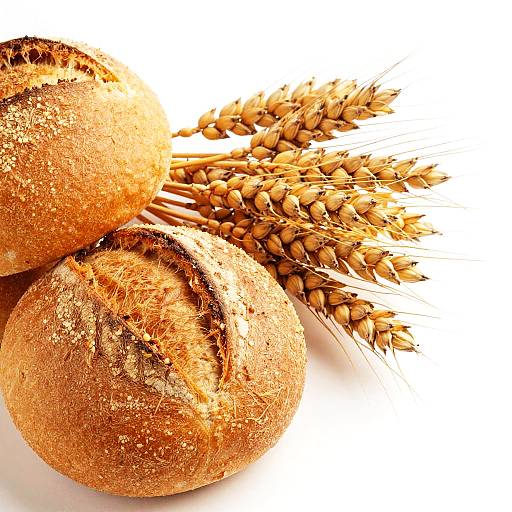 Golden Bread Rolls with Wheat Stalks