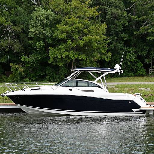 Photograph of a sleek, black-and-white motorboat docked on calm water, surrounded by dense, green forest in the background.