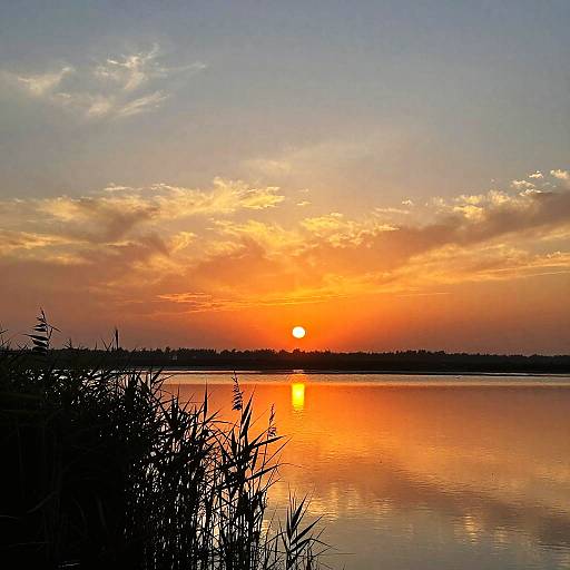 Fiery Sunset Over Serene Salt Marsh