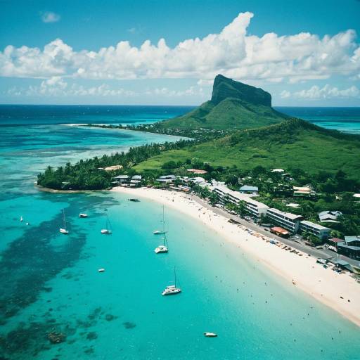 Aerial View of Tropical Island Beach and Mountains