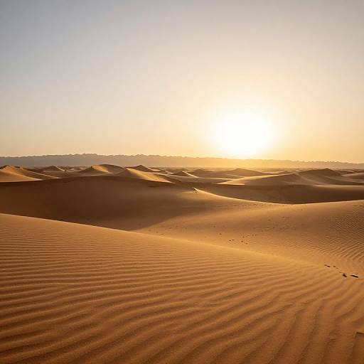 Golden Sand Dunes at Sunset