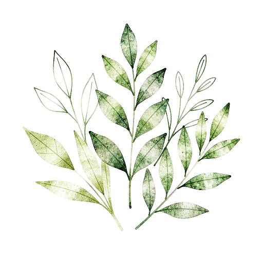 Minimalist Botanical Green Leaves Illustration