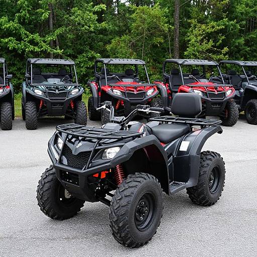 Black Slawa Predator 110 EFI Quad Showcase