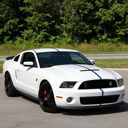 2014 Shelby GT500 Car Listing