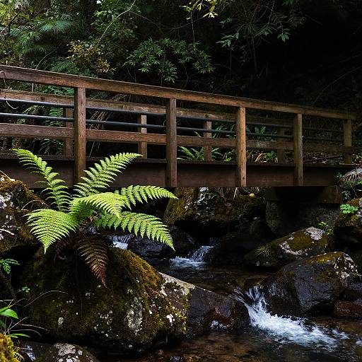 Serene Wooden Bridge Over Rocky Stream