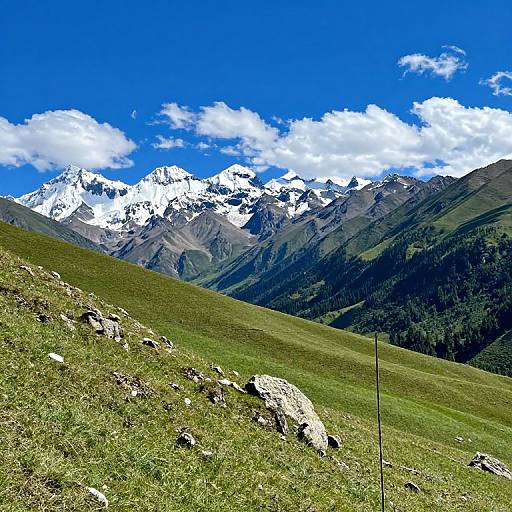 Photograph of a vibrant mountain landscape with snow-capped peaks under a bright blue sky with white clouds, green grassy hills in the foreground, and