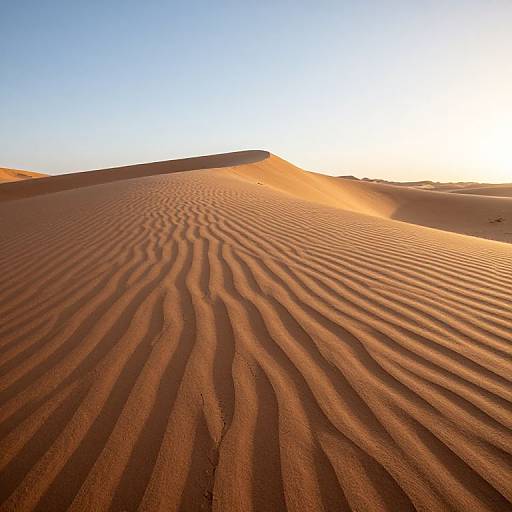 Photograph of a desert landscape at sunset, featuring rippled sand dunes with warm orange and brown hues under a clear blue sky.