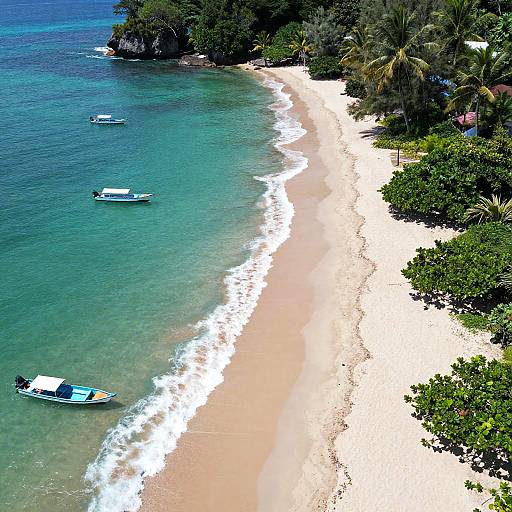 Aerial photograph of a pristine, white-sand beach with turquoise waters, three small boats, and lush green palm trees along the shore.