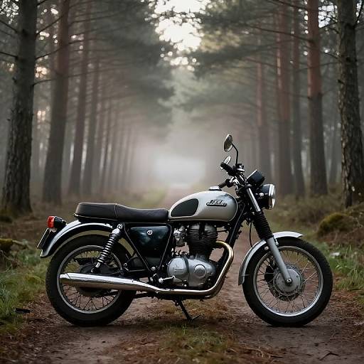 Photograph of a classic silver and black motorcycle with chrome accents parked on a forest dirt path, surrounded by tall pine trees and misty light in the