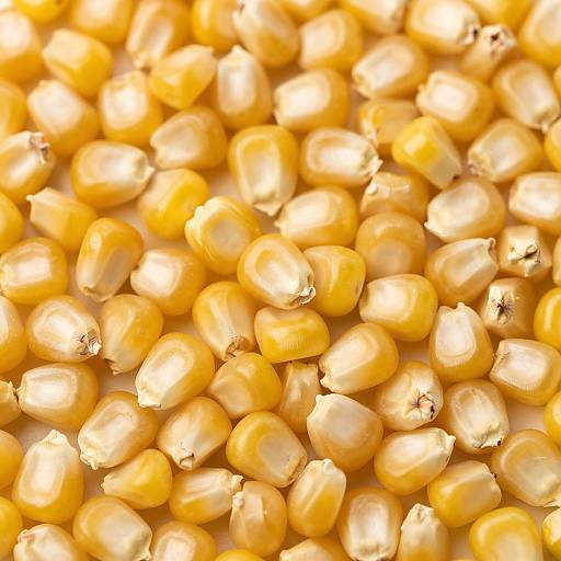 Close-up photograph of a pile of yellow and white split peas, showing their smooth textures and slightly irregular shapes.