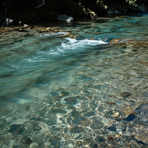 Photograph of a clear, sunlit stream with rippling water, visible rocks, and gentle white foam; dark greenery in the background.