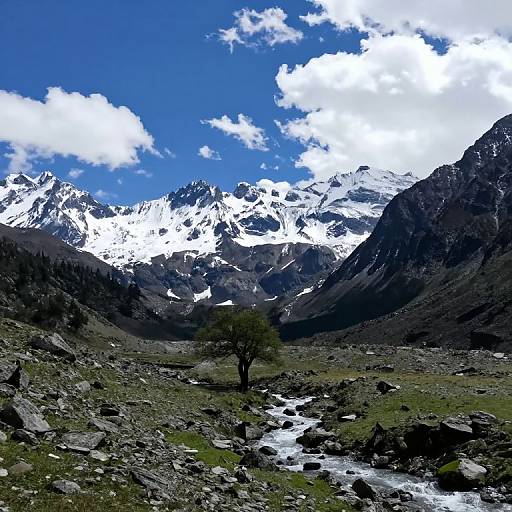 Vibrant Snow-Capped Mountain Landscape