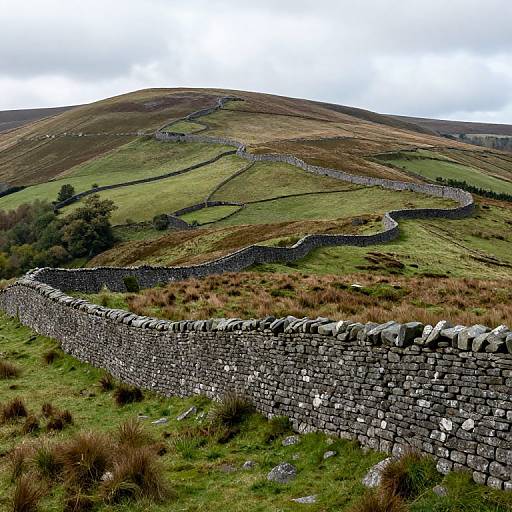 Serenity in Brecon Beacons Hills