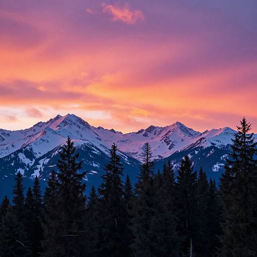Photograph of snow-capped mountains under a vibrant pink and purple sunset sky, with dark silhouetted evergreen trees in the foreground.
