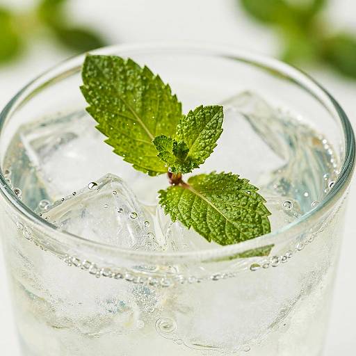 Refreshing Mint Ice Water Close-Up