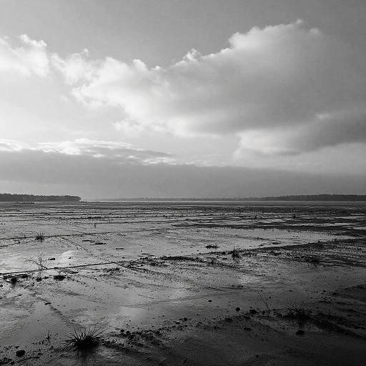 Monochrome Floodplain Lowlands Sketch