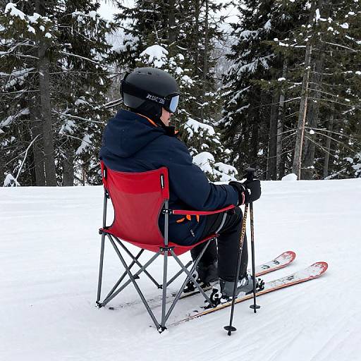 Seated Skiing in Snowy Forest