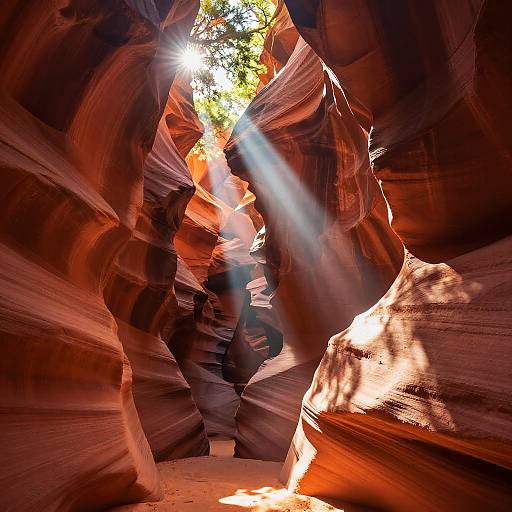 Sunlit Red Rock Canyon Photo
