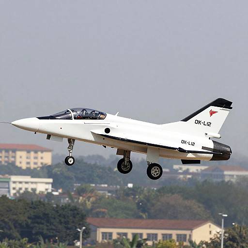 Sleek Jet-Powered Aircraft in Flight