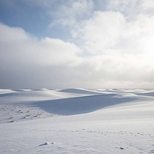 Serene Snow-Draped Dunes Landscape