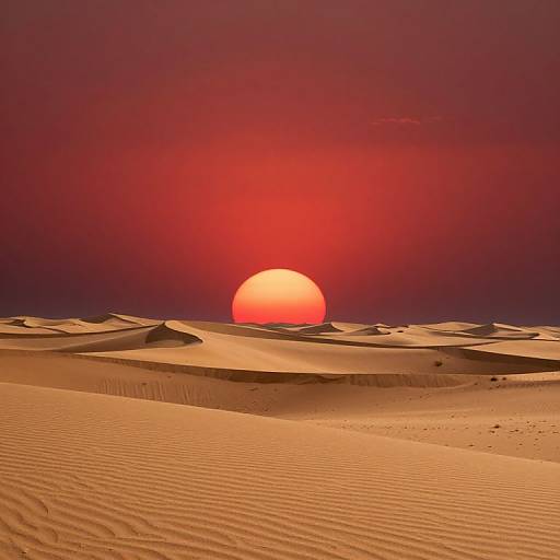 Photograph of a desert sunset with a vibrant red sun, casting a warm glow over undulating, rippled sand dunes.