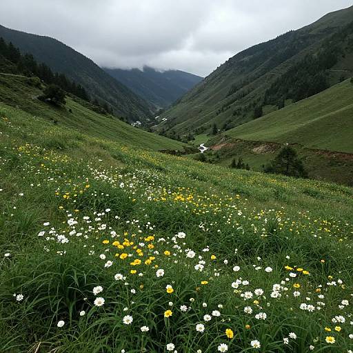 Valley of Echoing Words