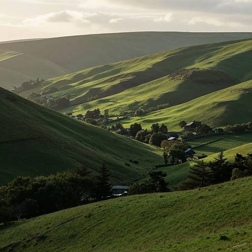 Serene Landscape of Rolling Hills