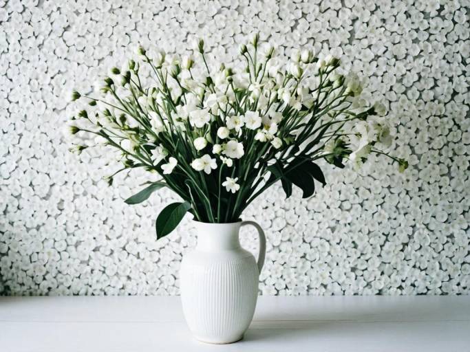 Elegant White Flower Wallpaper Design