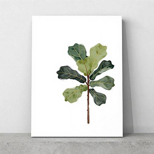 Minimalist Fiddle-Leaf Fig Illustration