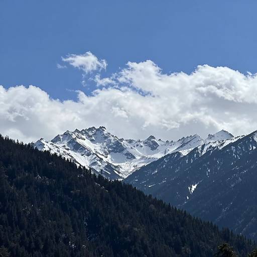 Photograph of a mountain range with snow-capped peaks under a bright blue sky with fluffy white clouds, and dark green forested hills in the foreground