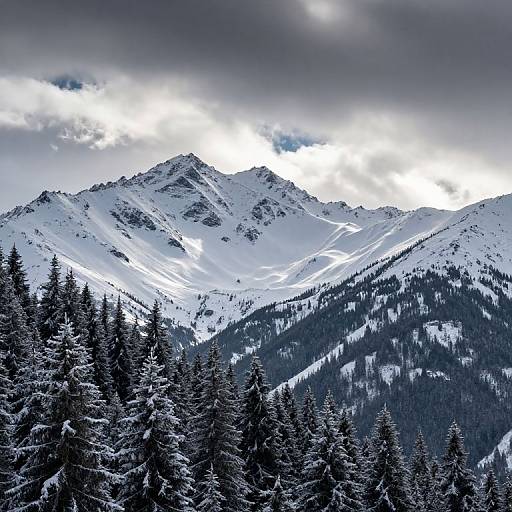 Photograph of a snowy mountain range with dark, cloud-covered sky; dense, snow-covered evergreen forest in the foreground. Dramatic contrast between bright